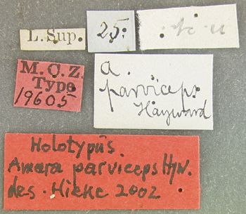 Media type: image; Entomology 19605   Aspect: labels